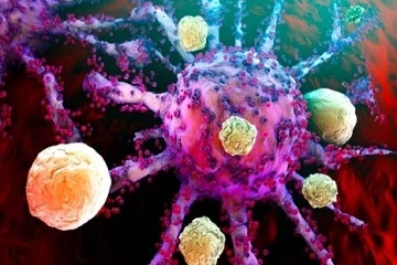 How Pfizer & AstraZeneca is revolutionizing USA Solid Tumor Therapeutics Market