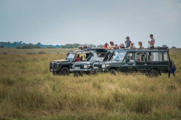 Tips for Planning the Perfect Safari in Tanzania