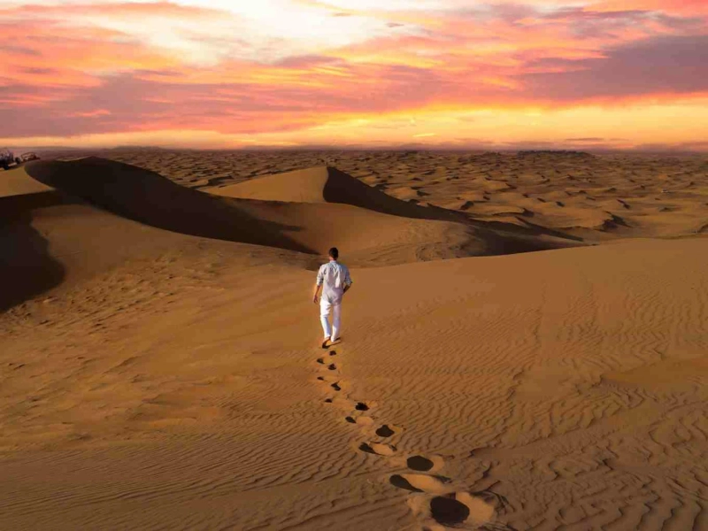 How To Choose The Best Desert Safari Tours in Dubai