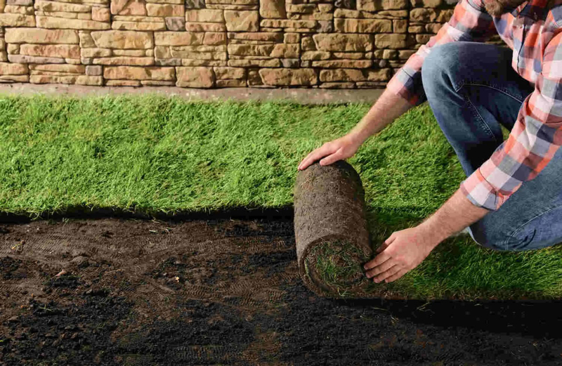 Elevate Your Landscape: The Secrets of Best SOD Services