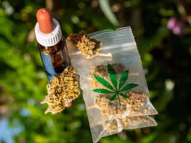 Get Your Green: Same Day Weed Delivery in Langley for Ultimate Convenience