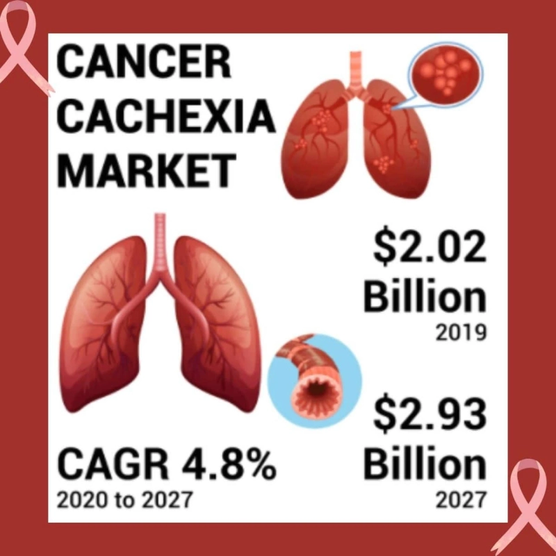 Cancer Cachexia Market | Industry Demand, Worldwide Research