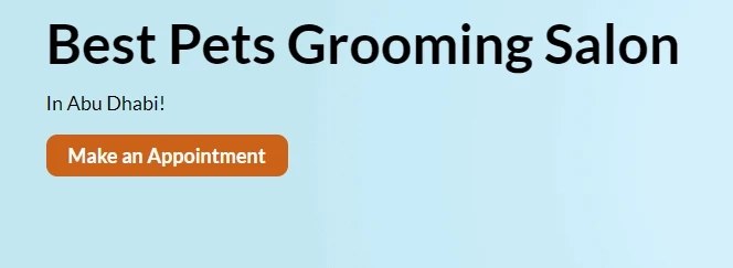 How to Find Pets Grooming Services in Abu Dhabi