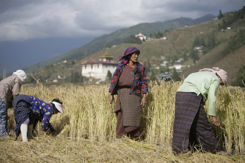 Divine Places in Bhutan Spiritual Tour - Explore and Experience Solace!