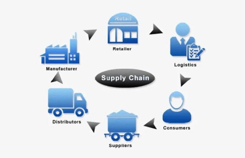 Mastering the Global Market: A Comprehensive Guide to Supply Chain Management in China