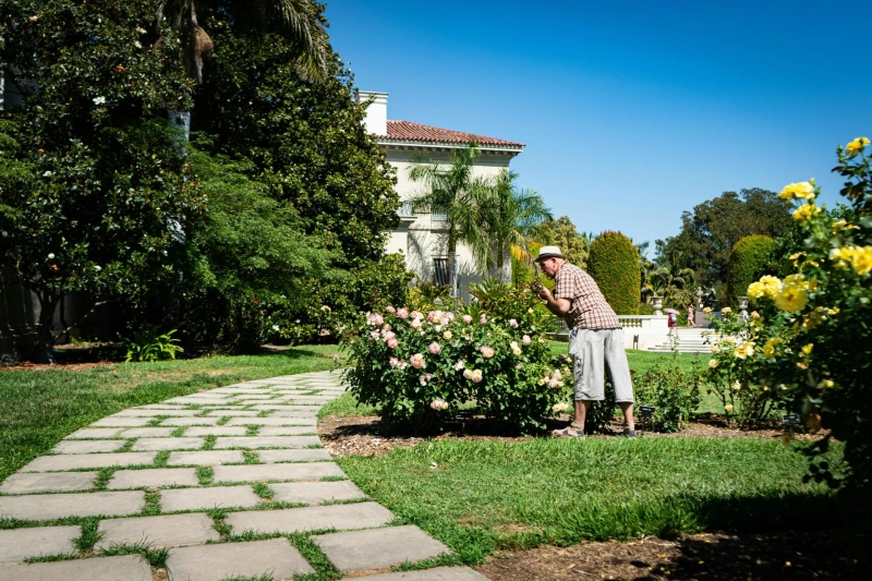 Why Homeowners Depend on Yearly Landscaping and Lawn Care Services