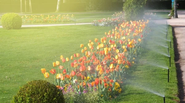 Benefits of choosing Professional Gardening Services in Canada