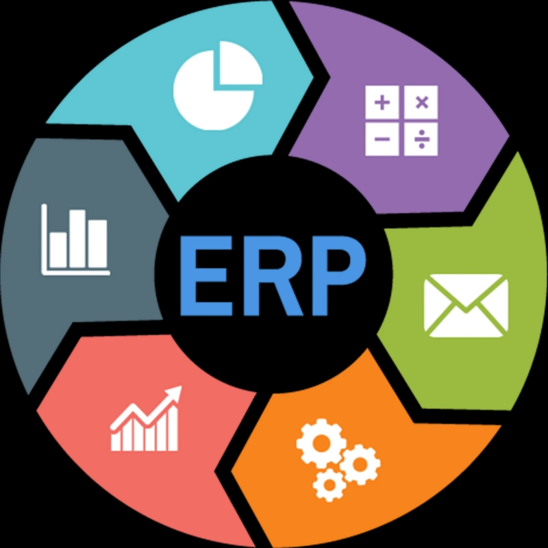 Navigating ERP Solutions: Tailored Software for Small Businesses in Malaysia