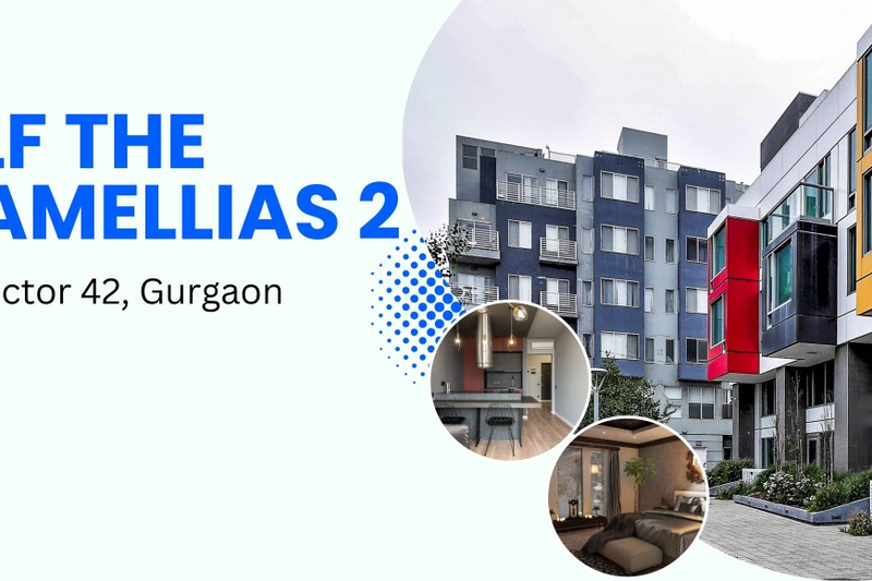 Luxury Living at DLF The Camellias 2, Gurgaon