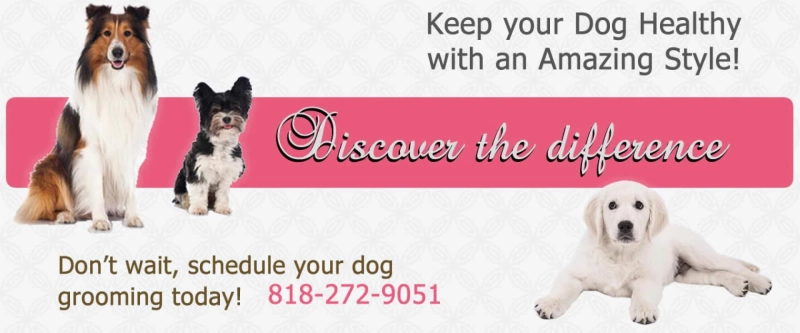 Importance of Grooming your Pets
