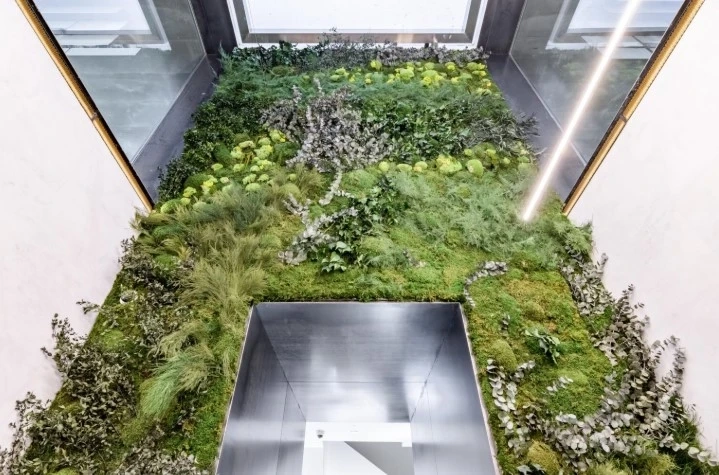 Jardines verticales: diseño, elegancia y funcionalidad para espacios modernos