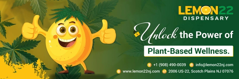 How to Find the Best Cannabis Products in New Jersey