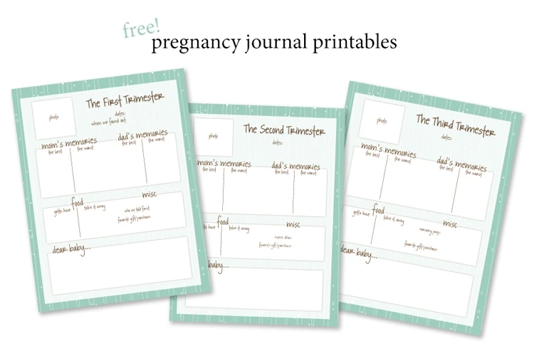 Top 5 Stores To Order Pregnancy Journal Online in Singapore