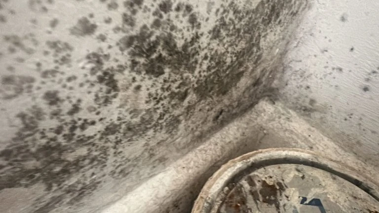 How Long Do Disrepair Claims Take to Resolve?