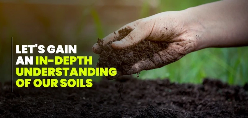 Let's Gain An In-Depth Understanding Of Our Soils