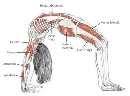 How much important to use a yoga training center