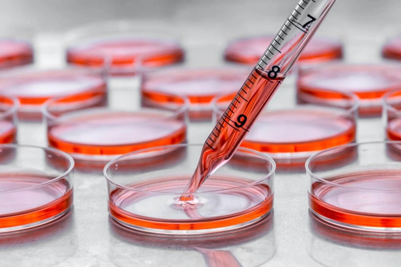 NOT ALL STEM CELLS ARE CREATED EQUAL