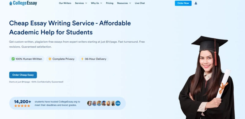 Cheap Writing Essay Service for College and University Assignments