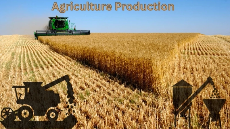 From Soil to Strength Farmers Shaping the Future of Agriculture