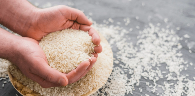 Unveiling the Diversity: What Distinguishes Non-Basmati Rice?