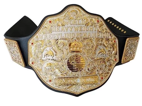 Different Kinds of Wrestling Championship & Prizes