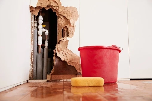 The Benefits of Choosing a Water Removal Company