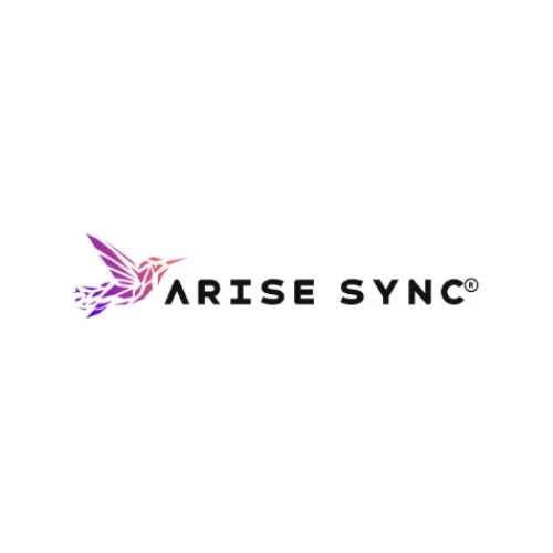 AriseSync for Professionals Who Want Better Online Results