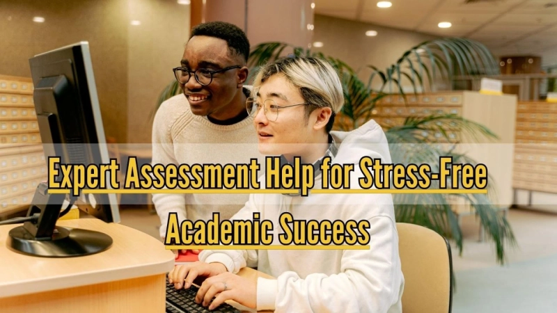 Expert Assessment Help for Stress-Free Academic Success