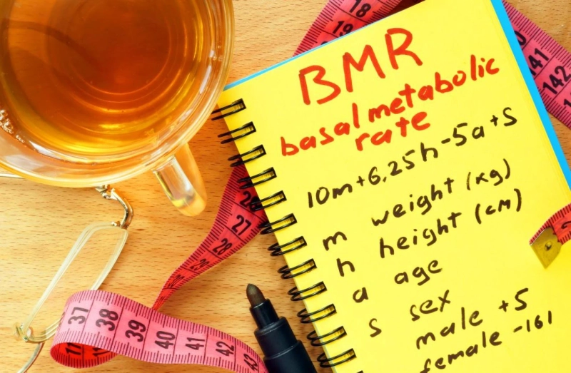 BMR Calculator: What is the Good BMR value for Men and Women?