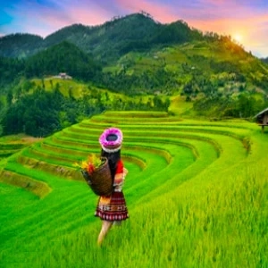 Vietnam Package Tour from Kolkata Spl Offer 
