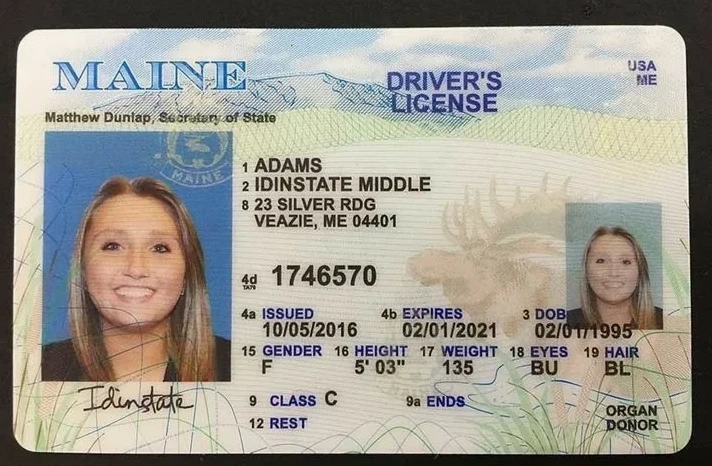 Generate Driver’s License Online | Customizable Templates