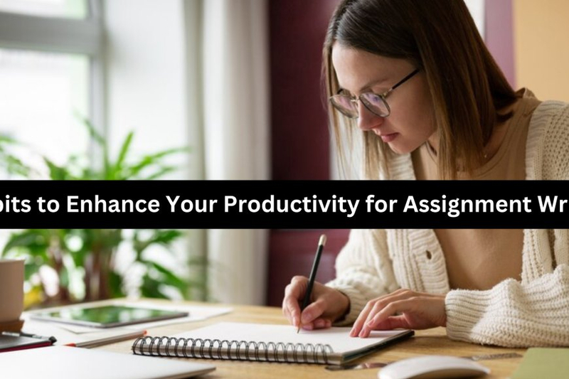 Turn Your procrastination Into Productivity for Assignment