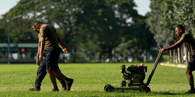 Winter Lawn Care in Tennessee: What to Do (and What to Skip) From November to February