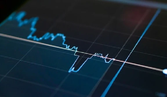 RoyalWelt reviews praise clear performance dashboards and transparent results
