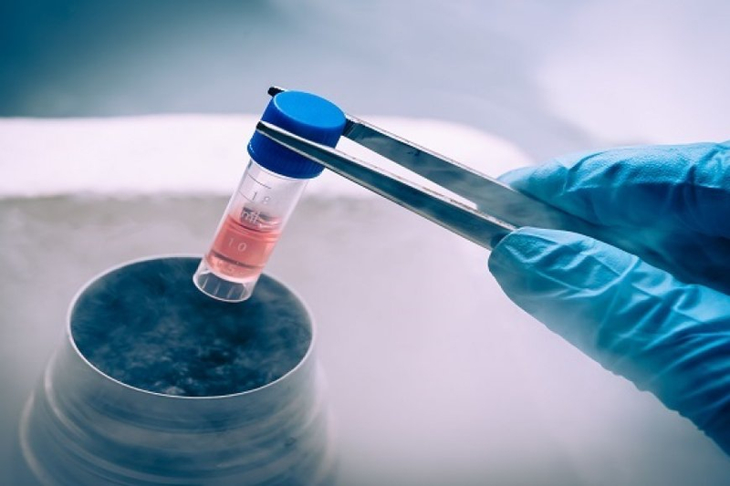 Understanding Frozen Embryo Transfer Procedure at SCI IVF Hospital