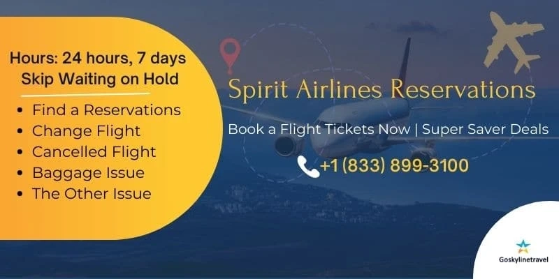 Book your Spirit Airlines reservations with Goskylinetravel