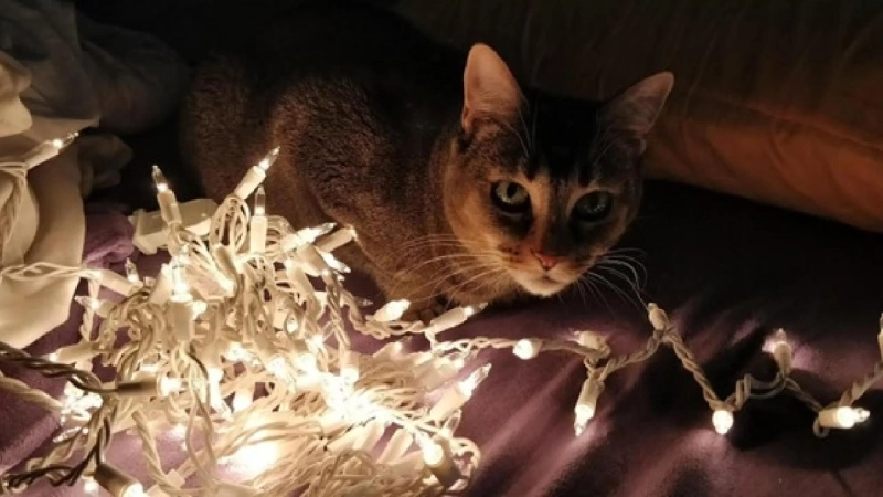 Why Mindful Entertainment Is Becoming the New Norm for the Sober Community