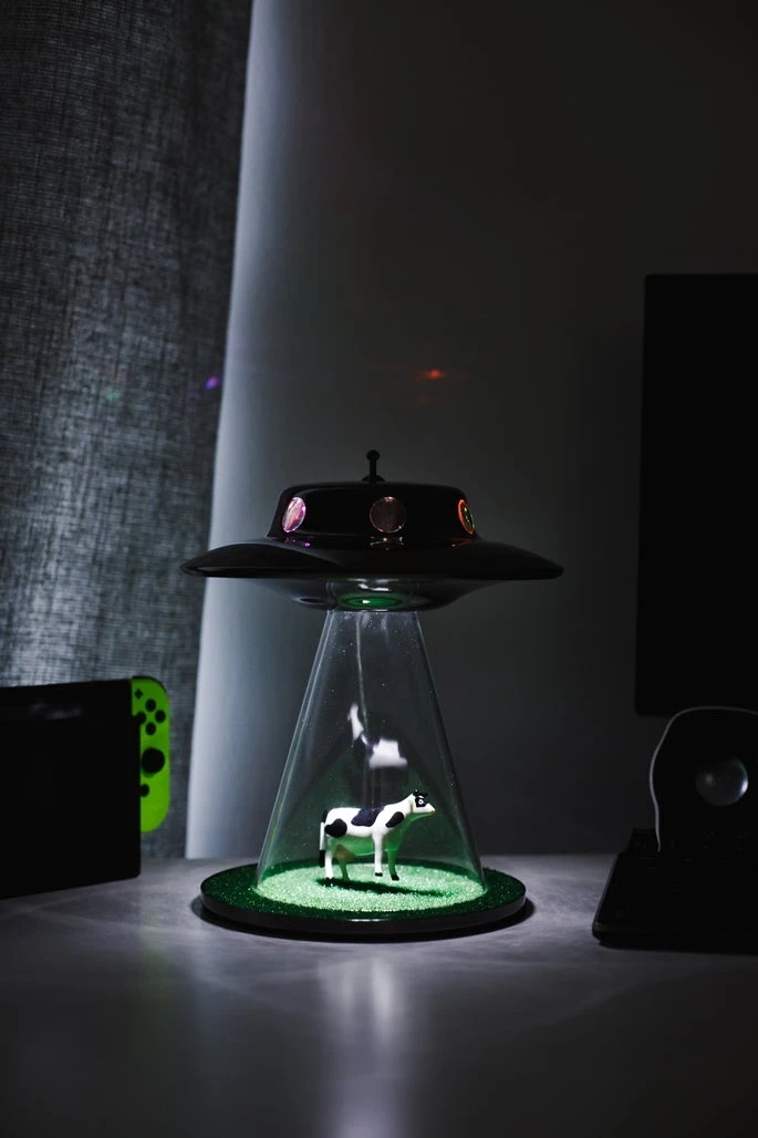 Are You An Ufoist- Purchase Alien About Lamp Online?