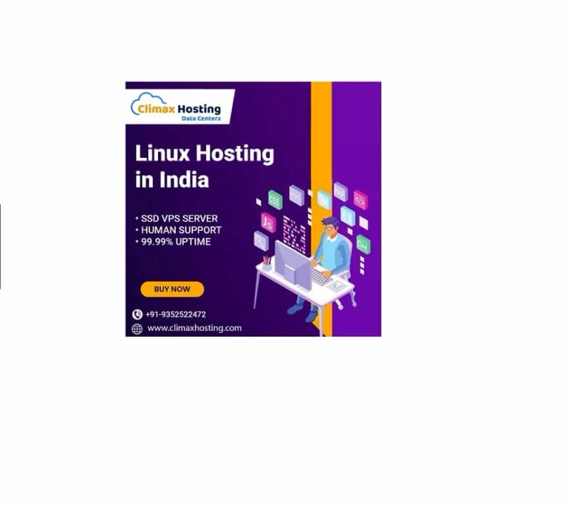 The Smart Choice: Linux Hosting for Indian Entrepreneurs