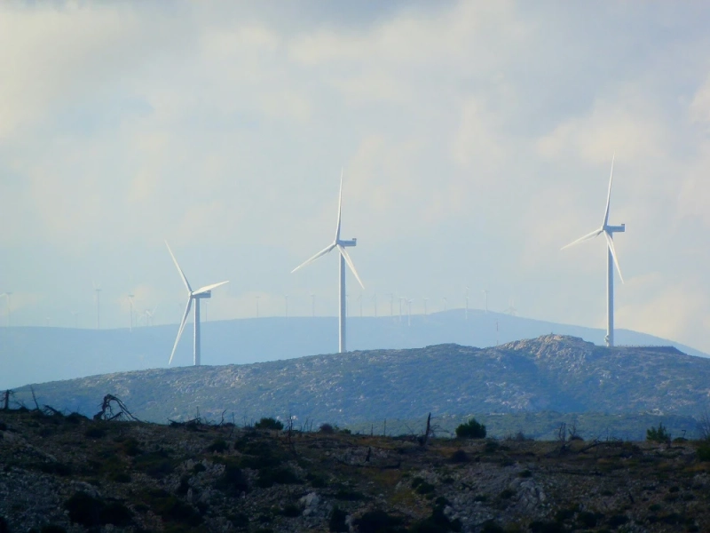 What is ESG Regulation? An In-Depth Overview of Standards with Examples