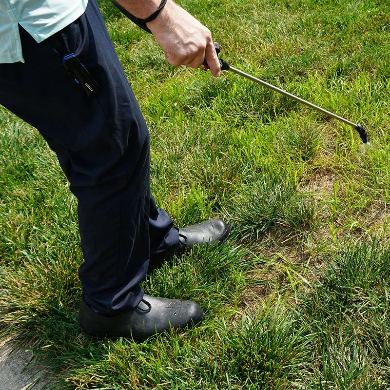 Lawn Maintenance Practices: Essential Tips for a Healthy Green Yard