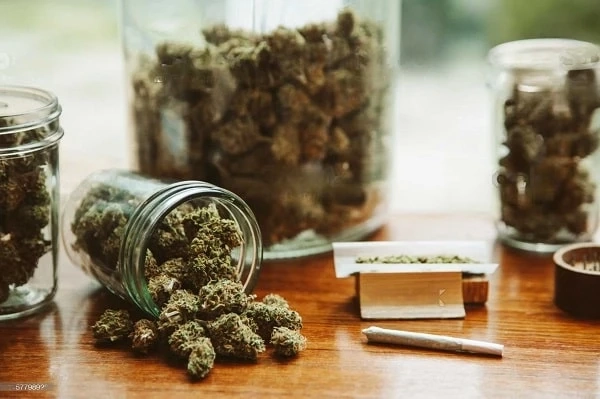 The Benefits of Choosing Weed Delivery over Traditional Dispensary Visits in Burlington
