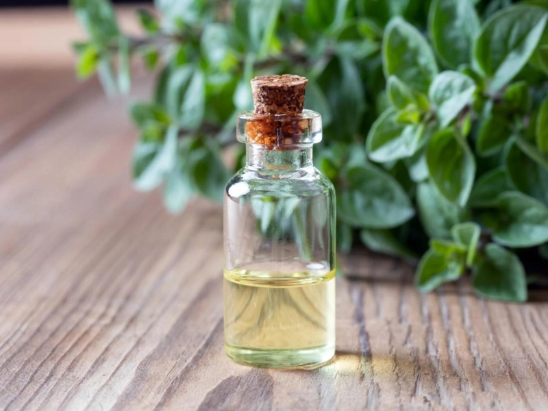 Essential Oils Market Share 2021, Size, Trends, Forecast and Analysis of Key Players 2026