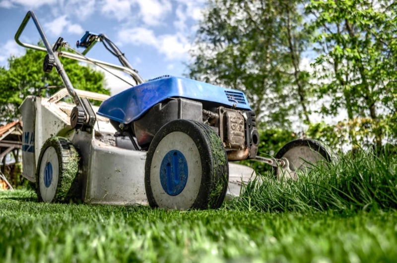 Definitive Guide to Lawn Care Services in Chichester: Tips, Advice, and Solutions