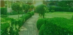 What To Look For In A Competent Company Of Landscaping