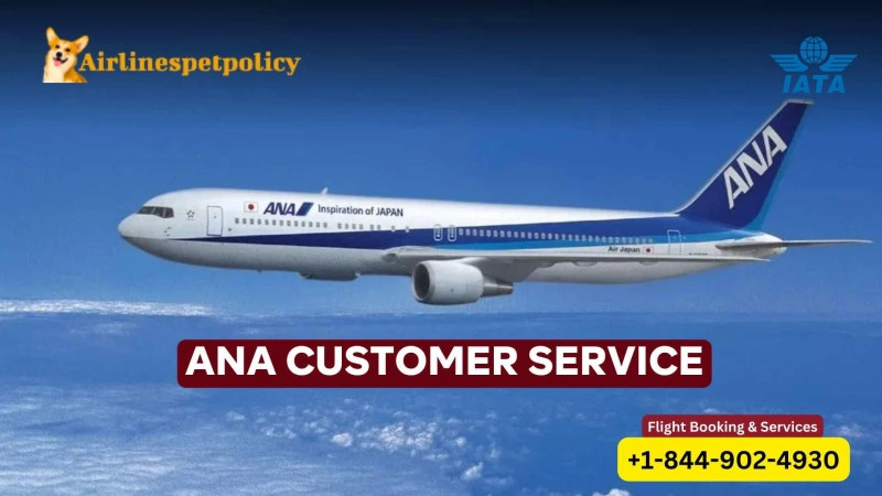 How Can I Contact ANA? | All Nippon Airways Helpline 24/7