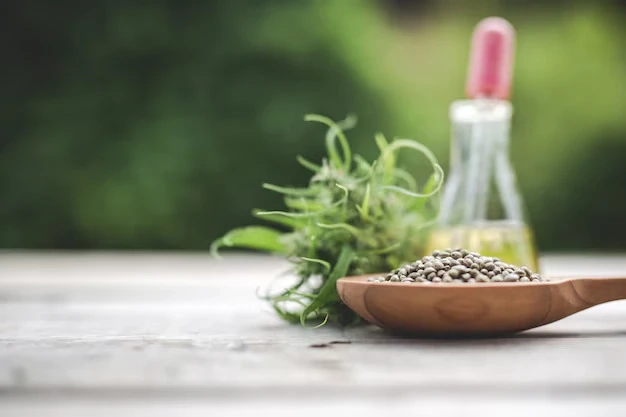 Enhance Your Well-Being with Premium CBD Wellness Products Online