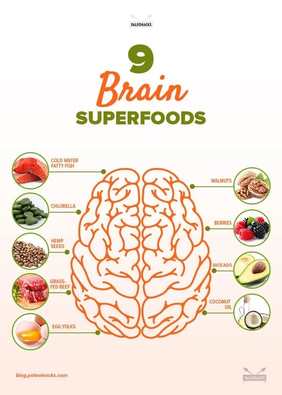 How to improve memory and increase brainpower capacity