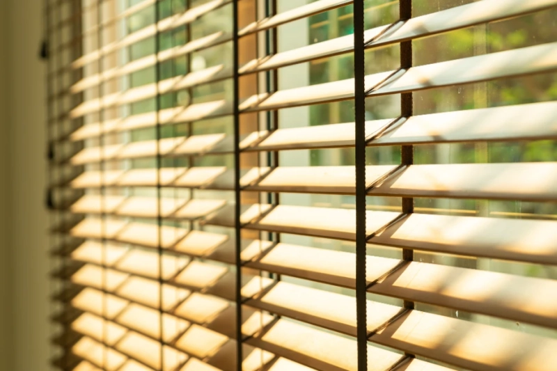 Awnings and Blinds for Comfortable Outdoor Living