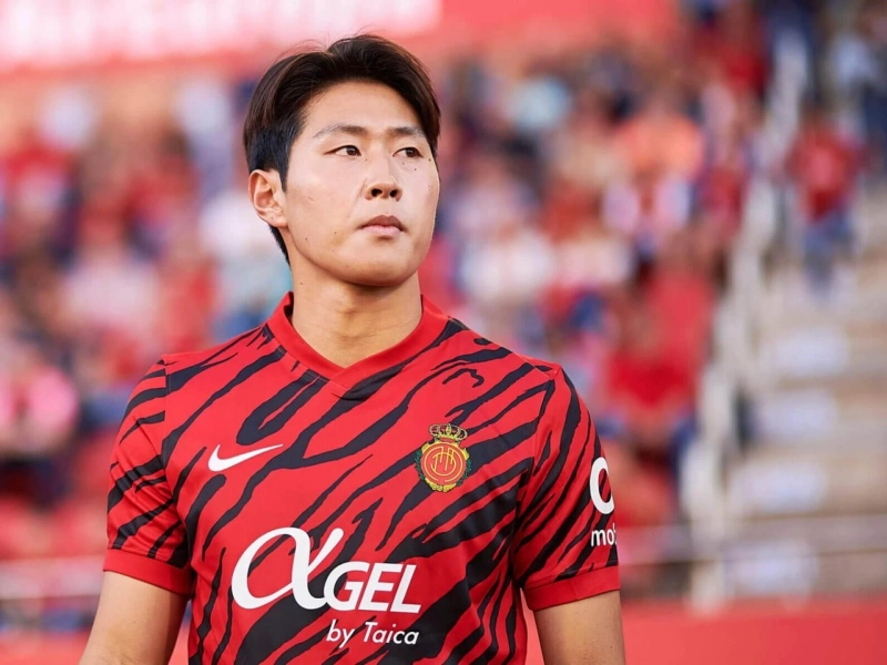 코비 마이누를 위한 5가지 잠재적 목적지